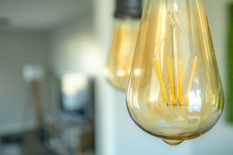 Bulbs